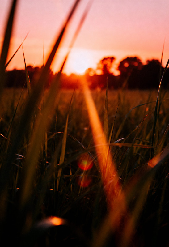 beautiful-sunset-1-1094464 beautiful-sunset-1-1094464