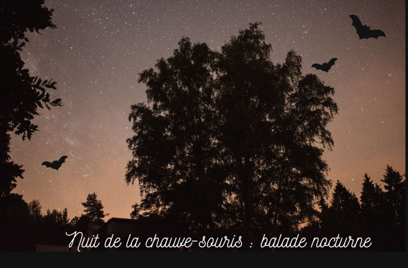 nuit-de-la-chauve-souris-balade-2-1093391