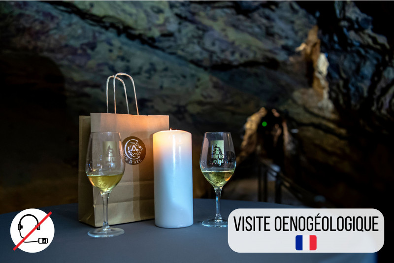 visite-oenog-ologique-1094141